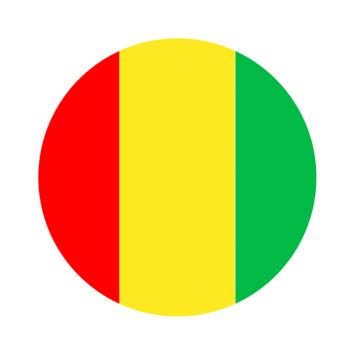 Drapeau de la Guinée Conakry